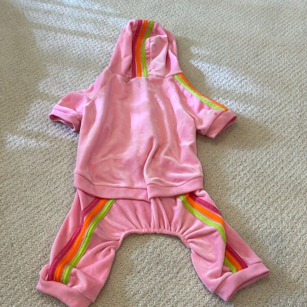 Female Dog outfit